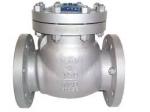 Non Return ( NRV ) Valves in Kolkata